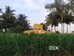 एक बॅचलर मुलगा एकटं राहायला 1/2bhk फ्लॅट भाड्याने पाहिजे कुठेही सांगणे