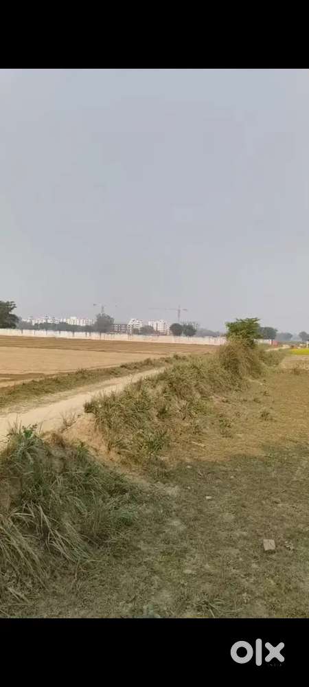 Near AIIMS Total 12 Biswa 800000 ka biswa