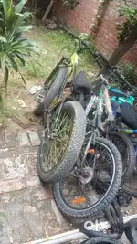 Avon cycle