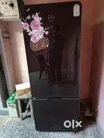 Godraj frige