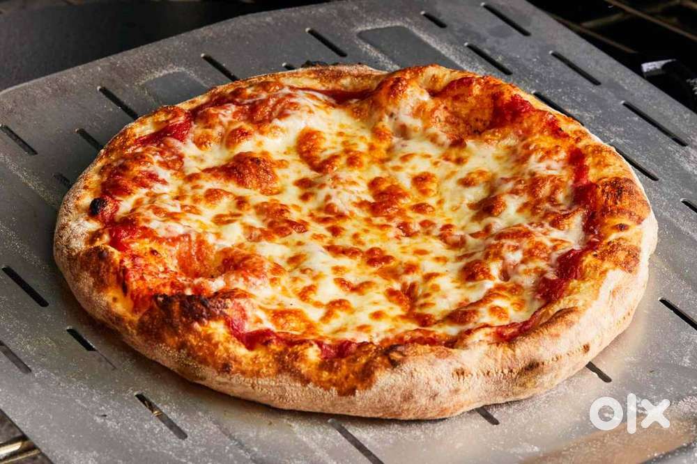DOMINOS PIZZA DELIVERY PARTNER