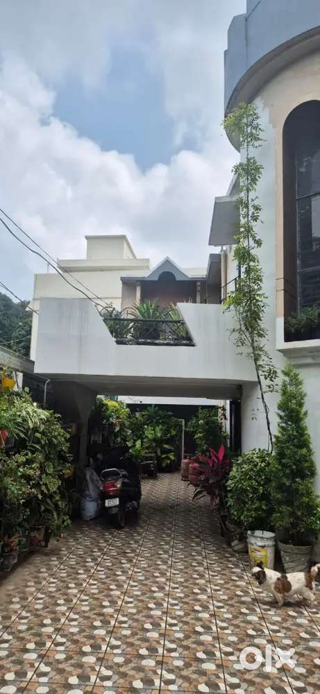 (urgent sale) House for sale in old survey