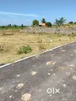 தேரைகால் புதூர் அருகில் SPகாலணியில் 6 சென்ட் இடம் விற்பனைக்கு உள்ளது