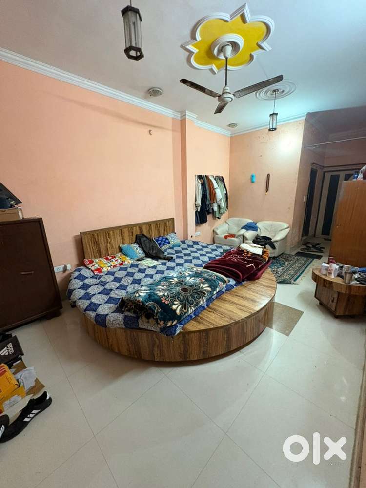 I need room partner educated good person