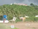 Free Registration Patta EC plots for Sale Chengalpattu