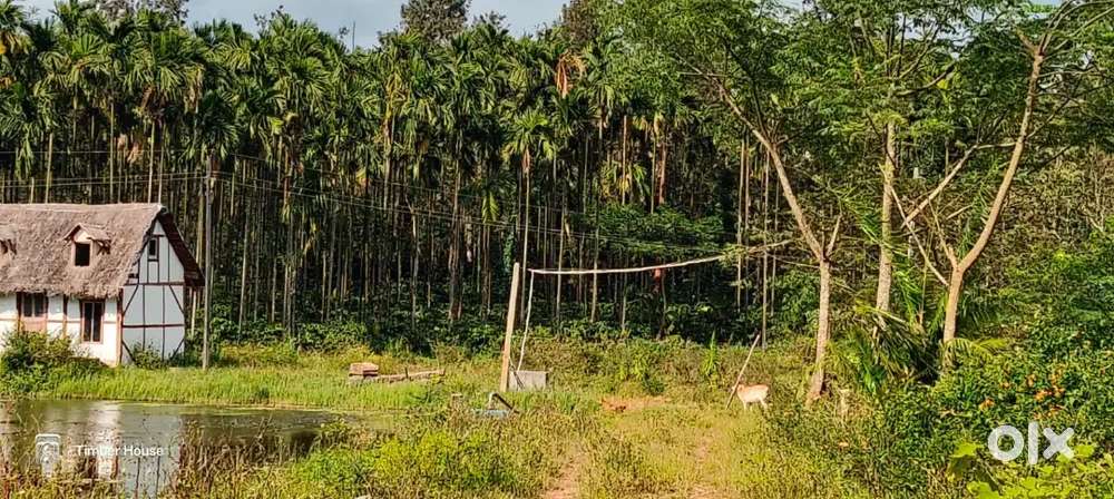 A rare eco resort opportunities near chikkamagaluru ideal for investme