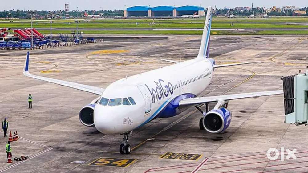 We are hiring for indigo airlines apply fast