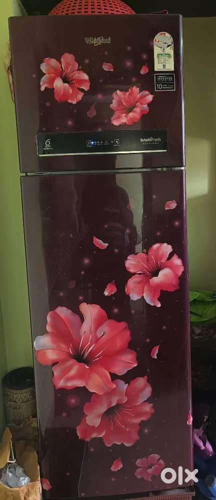 Whirlpool Double door Fridge - 292 Ltr - Inverter Model