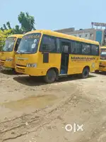 BUS CONSULTING