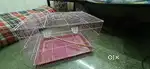 Rabbit/Bird Cage