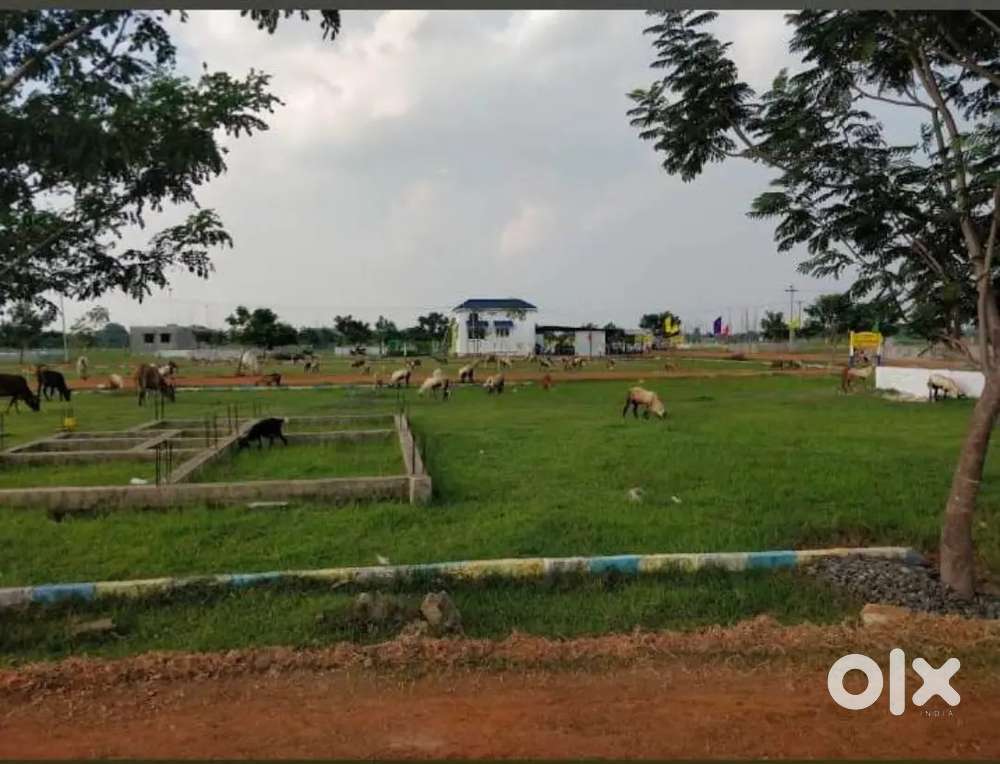 Thirunindravur Melakondaiyur 1760 Sqft Vacant Land Bank Auction