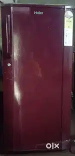 Fridge and cooler