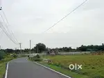 DTCP Approved Plot in Potheri