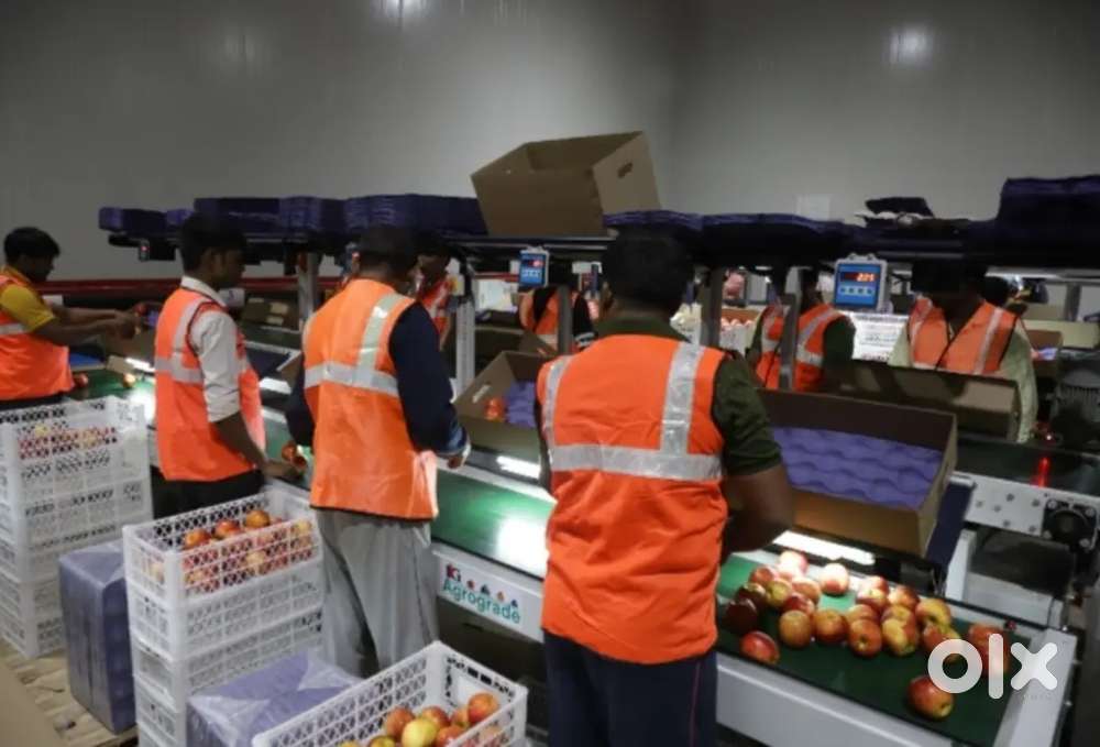 ।। पैकिंग जॉब के लिए अप्लाई करें तुरंत लखनऊ शहर के लिए।।