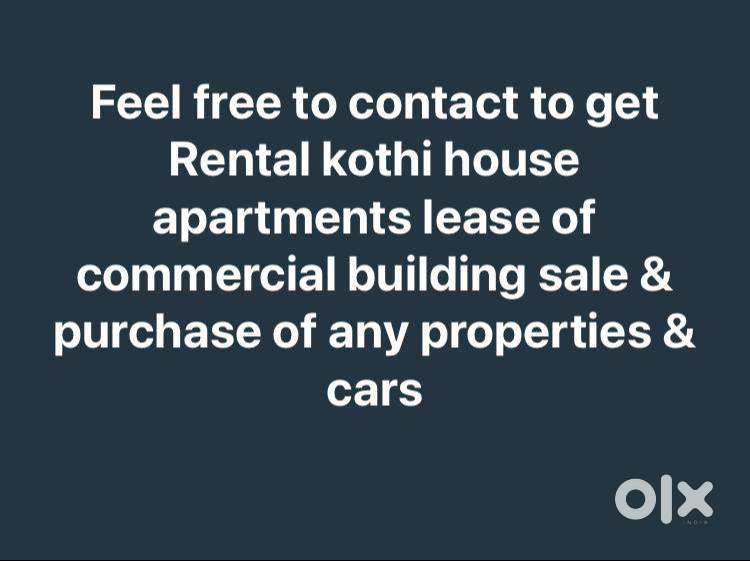 Feel free to contact to enquire about properties and cars