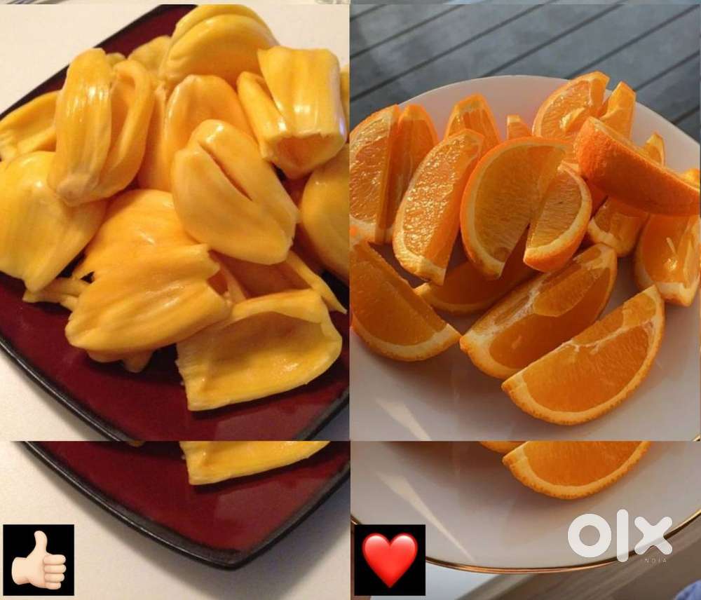 Indutrial food industry