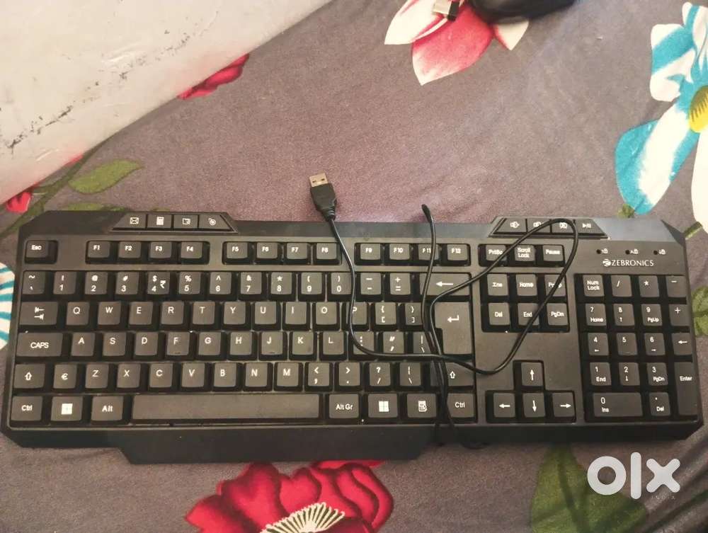 Keyboard and wireless mouse