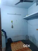 I need a roommate.