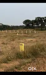 VMRD approved site
