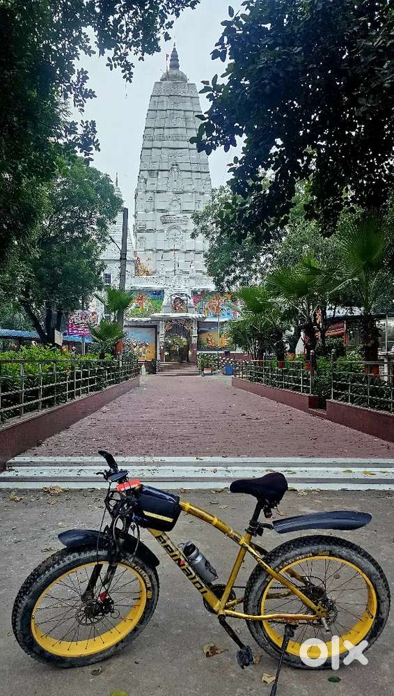 7 speed fat tyre jaguar shape model cycle ( bicycle )