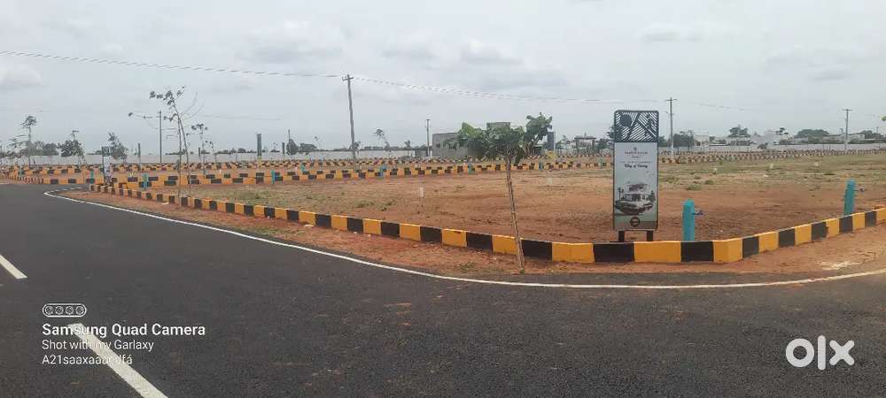 80% Dtcp approved plot for sale opp Anna university  Dindigul