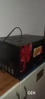 Micro oven