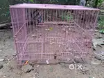 Animal cage