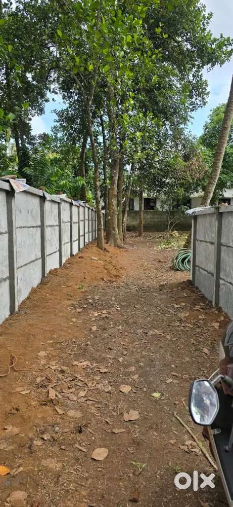 19.5 cent  plot for sale near thazhuthala  kannanalloor