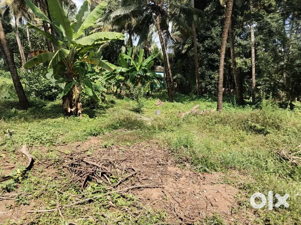 Thrissur East Fort near jubilee mission hospital 9,6 cent plot sale