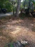 കാഞ്ഞാണിക്ക് സമീപം 8 സെൻ്റ് സ്ഥലം വില്പനക്ക്