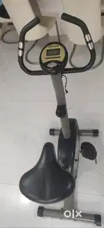 Raleigh gymming cycle