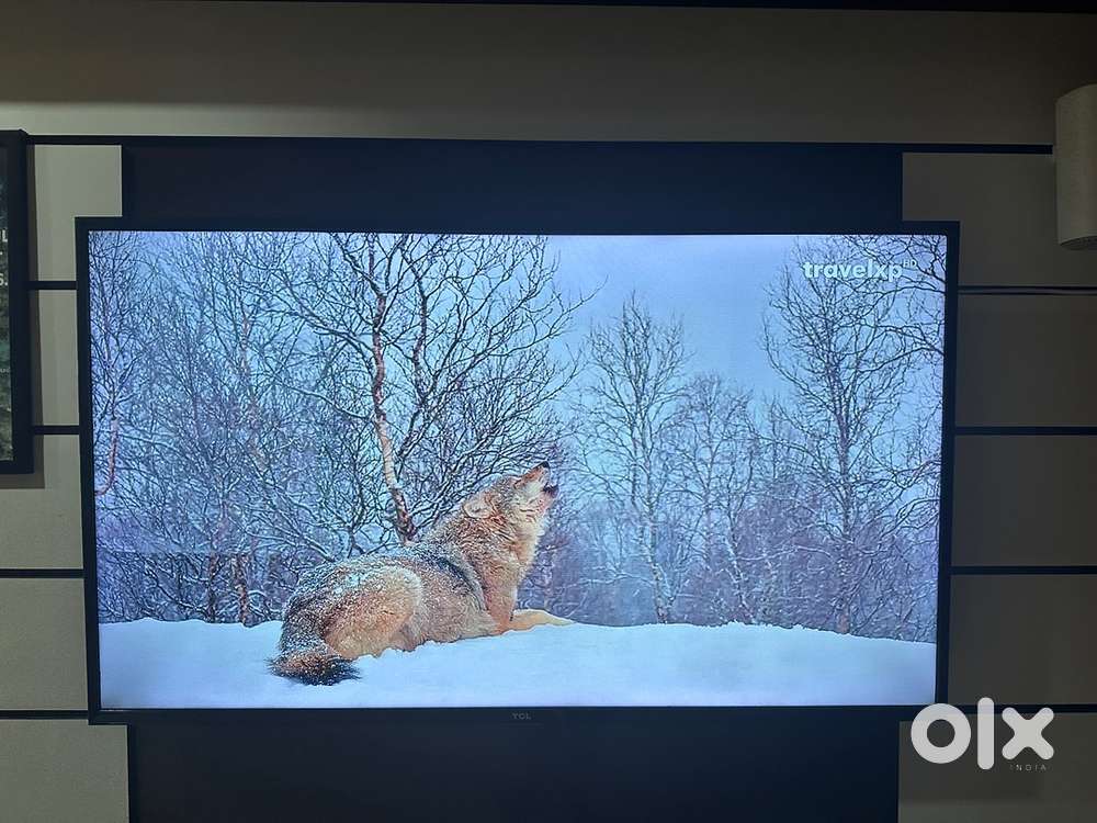 TCL smart HD TV 49 inch