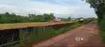 NELLIKATTA LAND NEAR TOWN LAND FOR SALE GOOD WATER ,AND LEVEL PLOT
