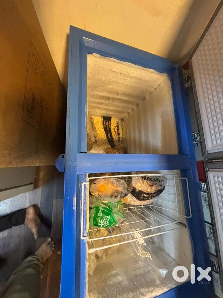 Blue Star's deep & chest freezers