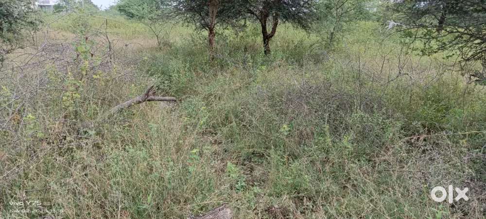 Plot for sale near rajni Mangal karyalay behind Guru plaza