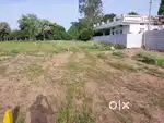 Invest in open Plots which will increas easily