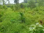 Shirlal, Ajekar -Karkala RCC house with 1.93 acres land for sale