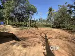 60 CENT HOUSE PLOT FOR SALE IN PAYYAMPALLY,WAYANAD
