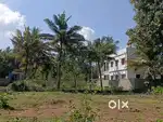 5/ 7.5 Cent Approved Housing Plot for Sale in Karavilai,Jerome College