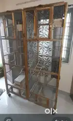 Birds Big Cage