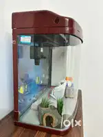 Aquarium best size for home