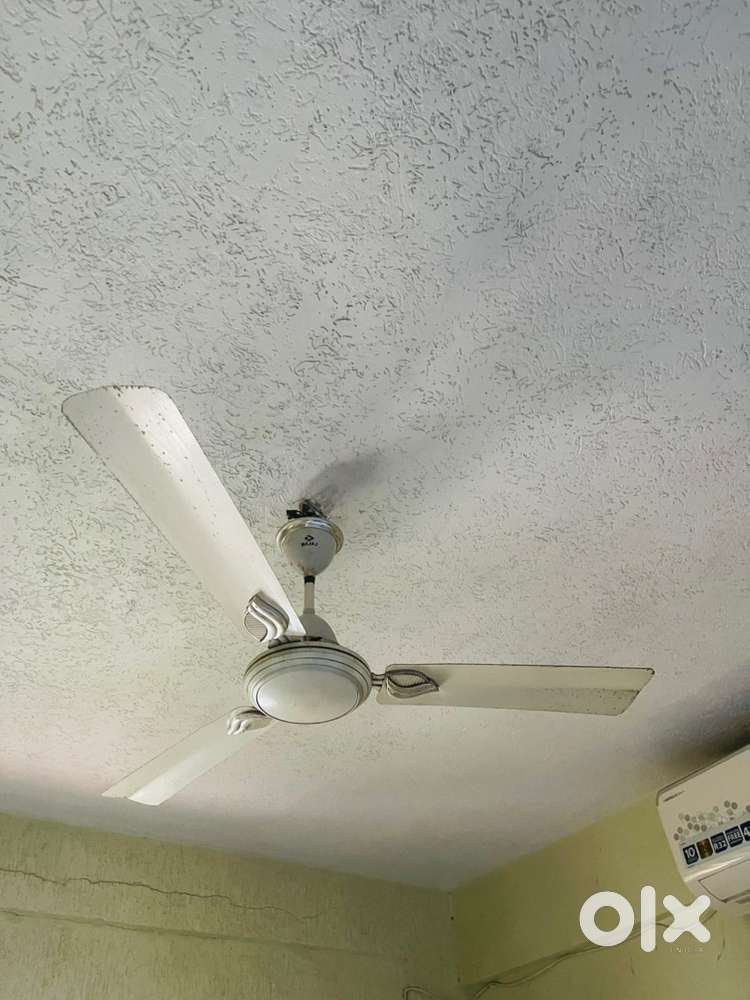 Fan for sell
