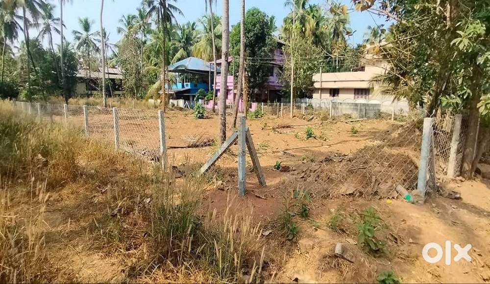 Commerical land for sale in Kuttoor, Kolangattukara near main road,