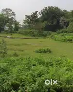 Ada biga land sale chirang Rowmari