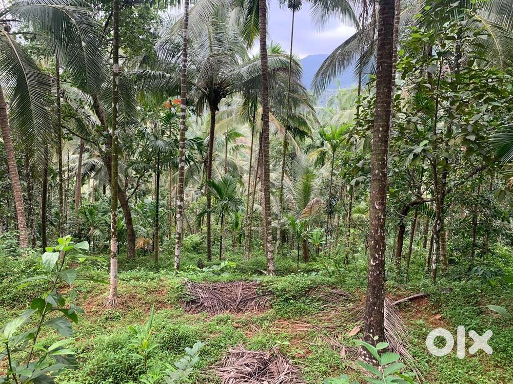 35 cent plot near mokeri