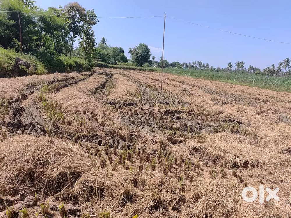 Sales for agriculture land 1.5 acre