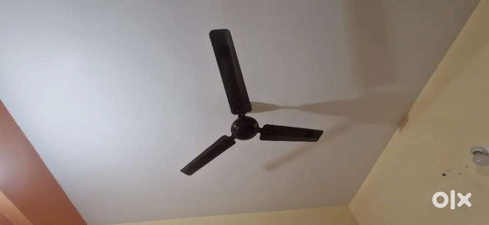 3 fans 4 years old and 1 geyser 3 years old