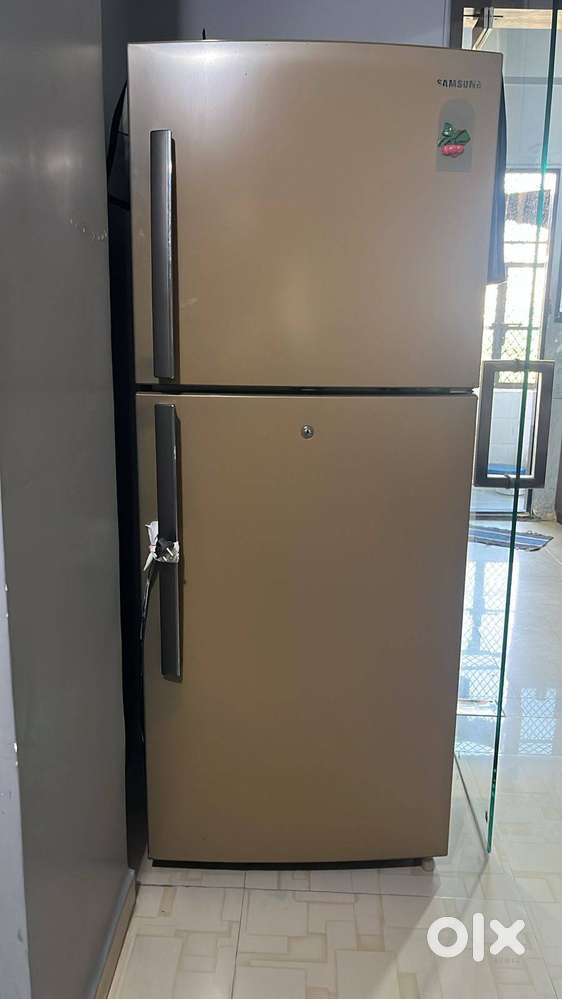 Friedge (Double Door)