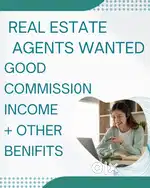 Real estate Agents wanted