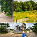 Plot for sale in kannamkulam ( kizhakkencherry vadakkencherry)